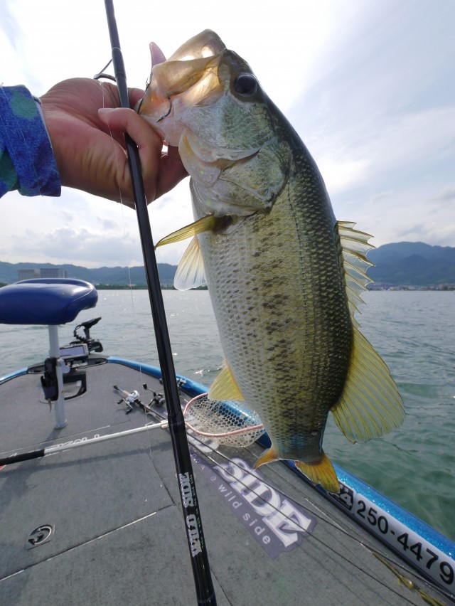 truth hiramura ブログ写真 2016/06/11