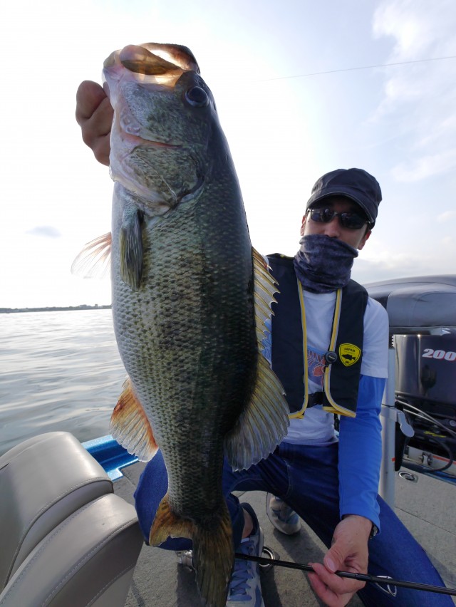 truth hiramura ブログ写真 2016/06/11