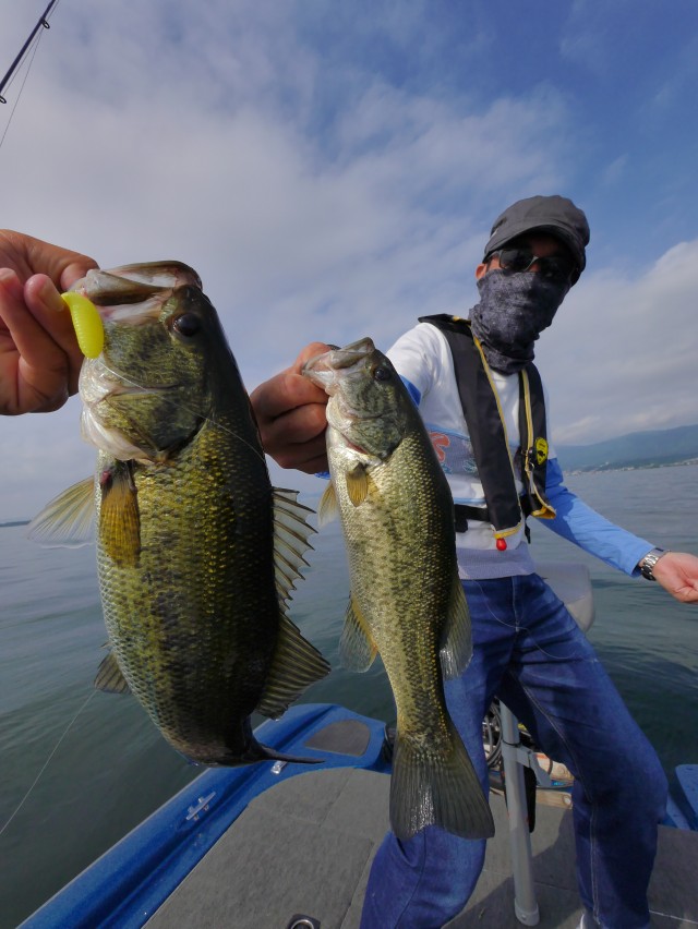 truth hiramura ブログ写真 2016/06/11