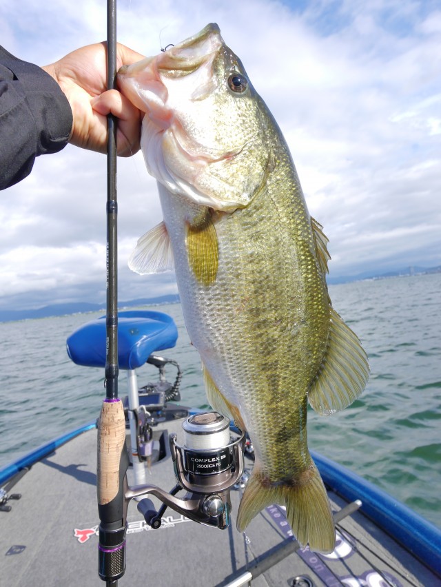 truth hiramura ブログ写真 2016/06/13