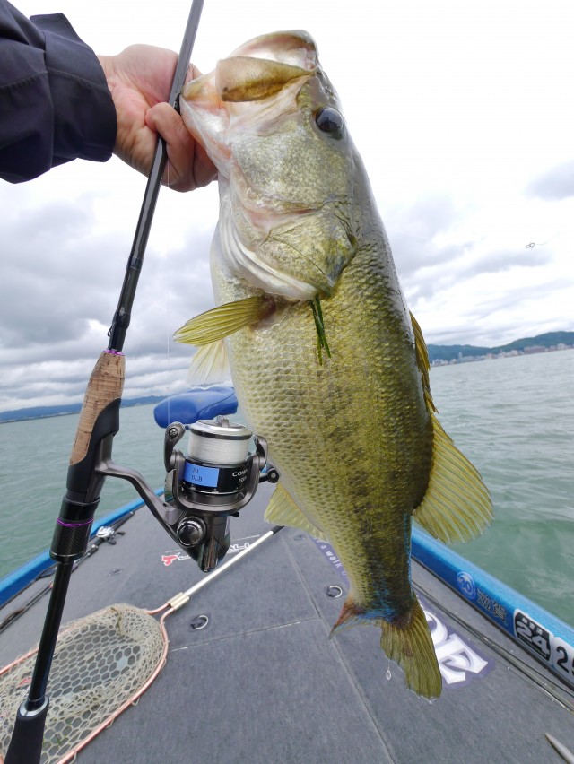 truth hiramura ブログ写真 2016/06/13