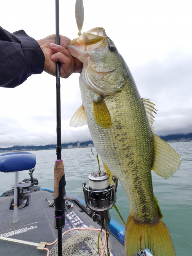 truth hiramura ブログ写真 2016/06/13