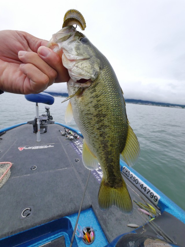 truth hiramura ブログ写真 2016/06/13