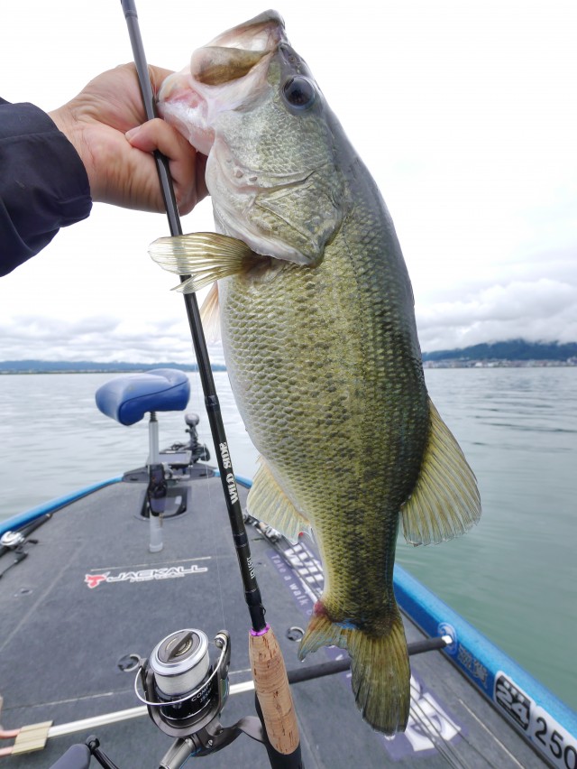 truth hiramura ブログ写真 2016/06/13