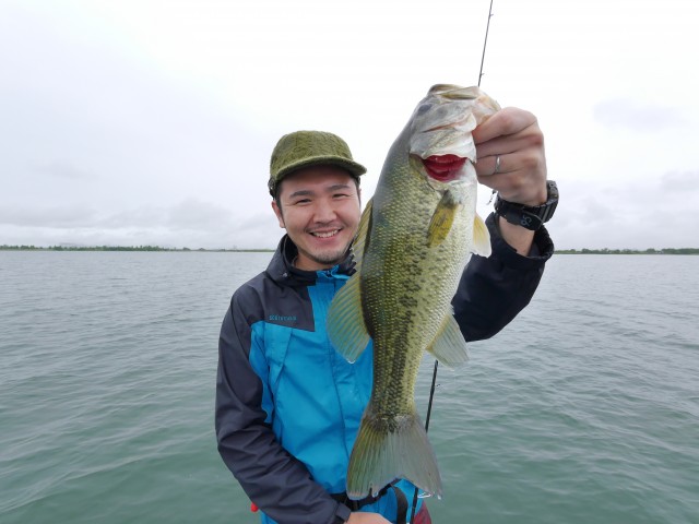 truth hiramura ブログ写真 2016/06/13