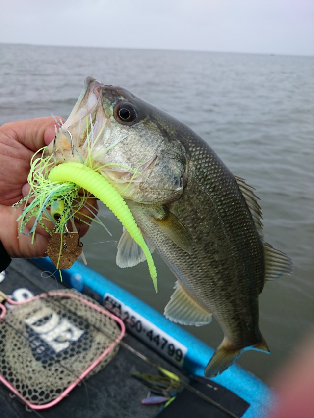 truth hiramura ブログ写真 2016/06/13