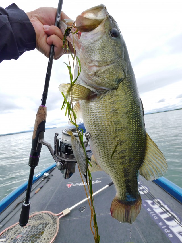 truth hiramura ブログ写真 2016/06/13