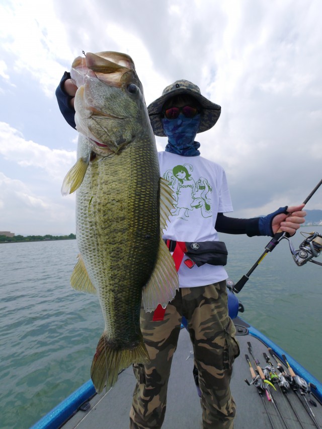 truth hiramura ブログ写真 2016/06/15