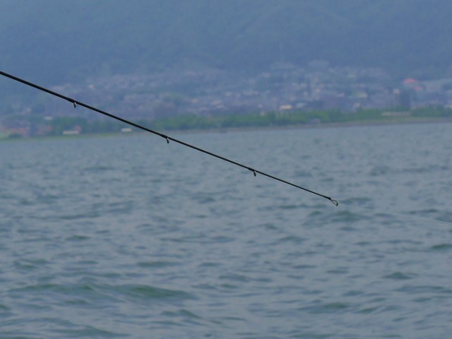 truth hiramura ブログ写真 2016/06/15