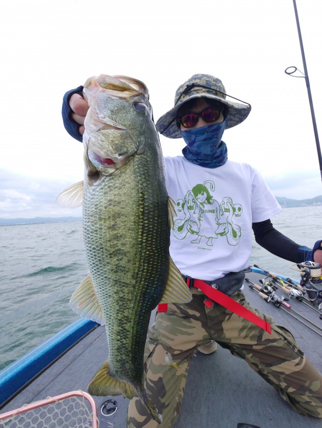 truth hiramura ブログ写真 2016/06/15