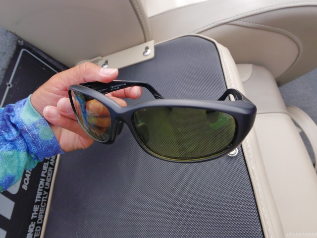 truth hiramura ブログ写真 2016/06/15