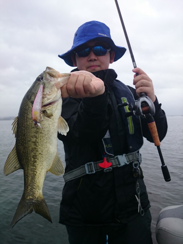 truth hiramura ブログ写真 2016/06/16