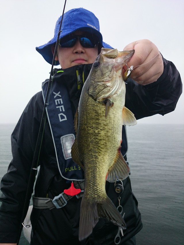 truth hiramura ブログ写真 2016/06/16