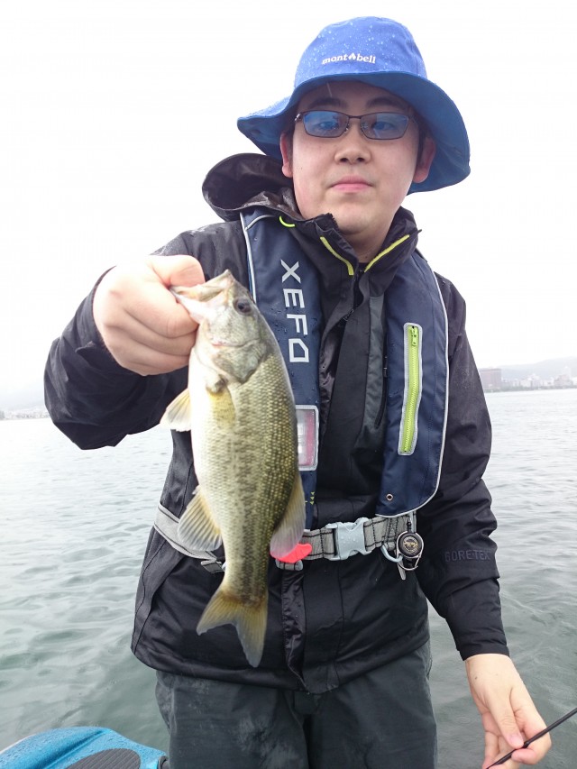 truth hiramura ブログ写真 2016/06/16