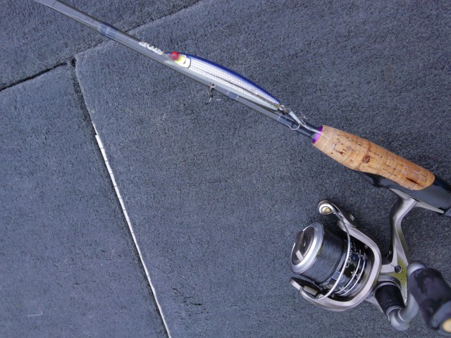 truth hiramura ブログ写真 2016/06/18