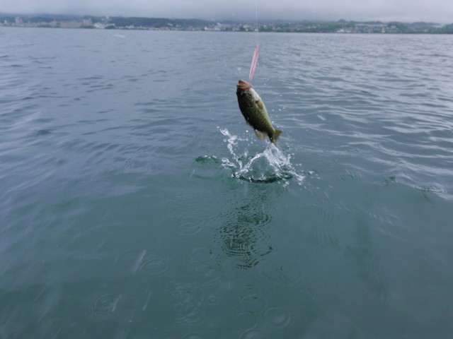 truth hiramura ブログ写真 2016/06/18