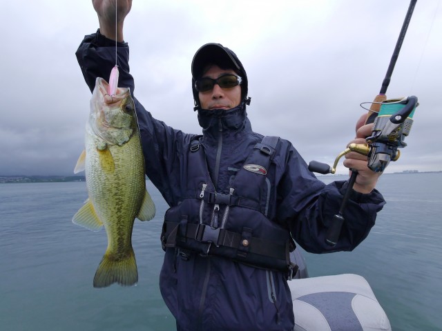 truth hiramura ブログ写真 2016/06/18