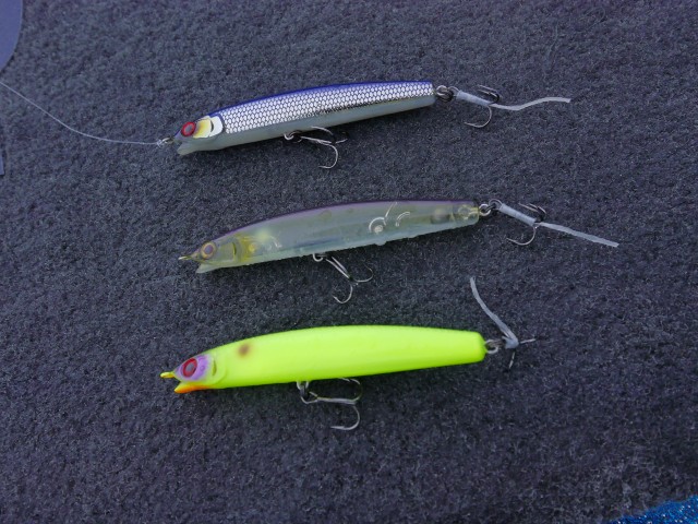 truth hiramura ブログ写真 2016/06/18