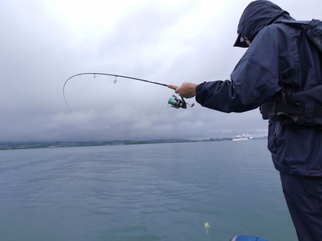 truth hiramura ブログ写真 2016/06/18