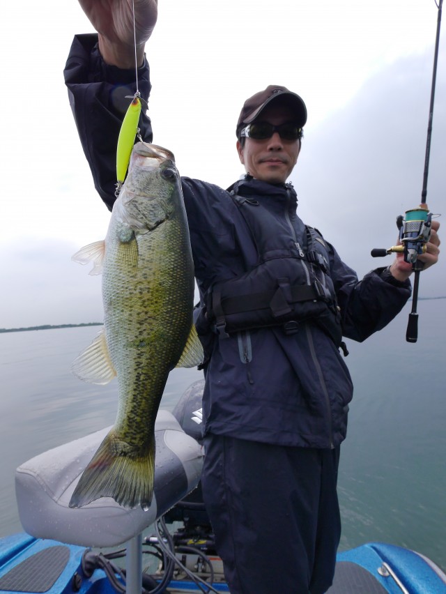 truth hiramura ブログ写真 2016/06/18