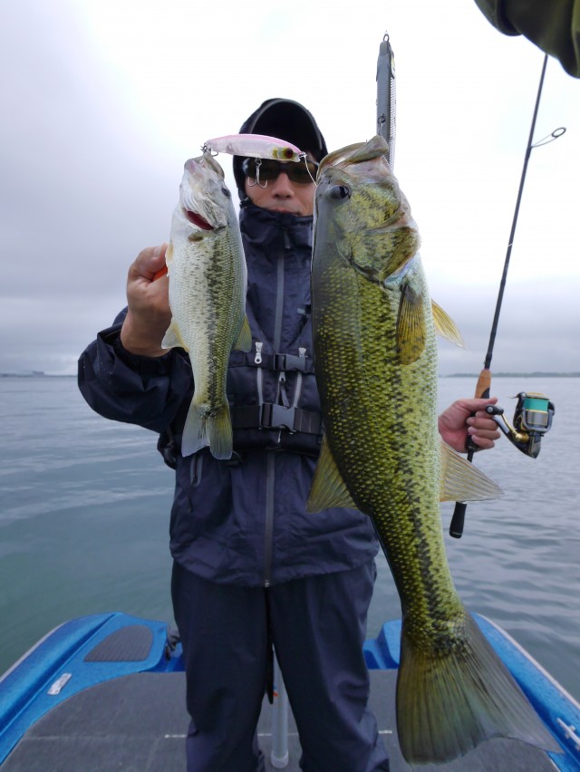 truth hiramura ブログ写真 2016/06/18