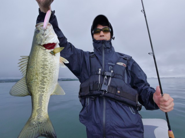 truth hiramura ブログ写真 2016/06/18