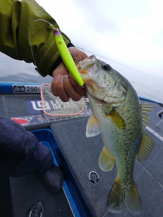 truth hiramura ブログ写真 2016/06/18