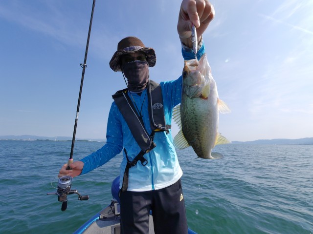 truth hiramura ブログ写真 2016/06/18