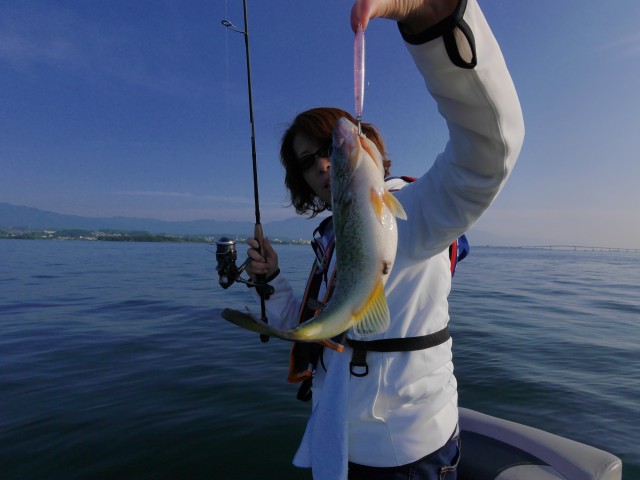 truth hiramura ブログ写真 2016/06/18