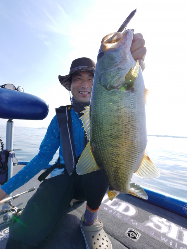 truth hiramura ブログ写真 2016/06/18