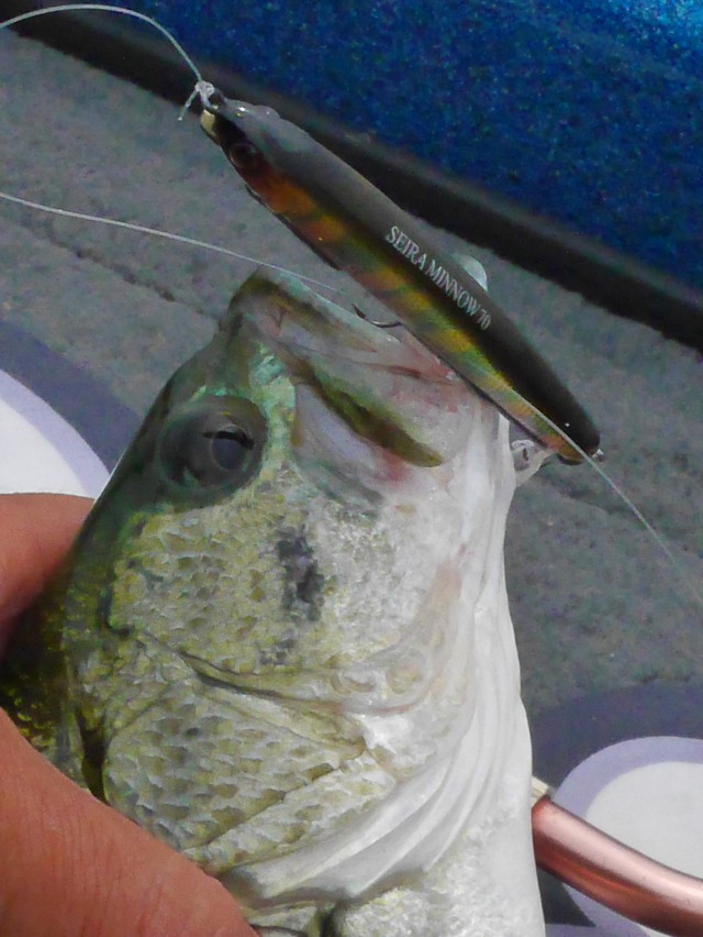 truth hiramura ブログ写真 2016/06/22