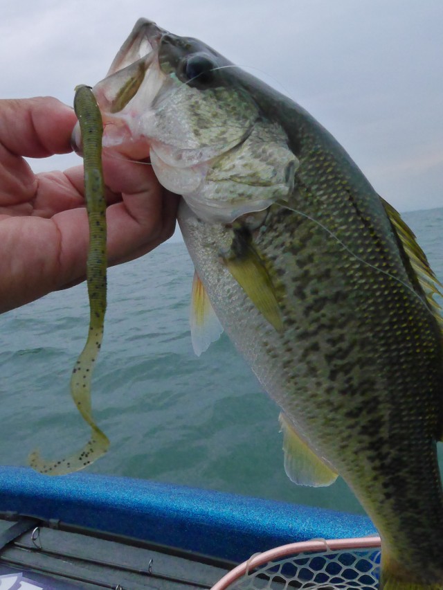 truth hiramura ブログ写真 2016/06/22