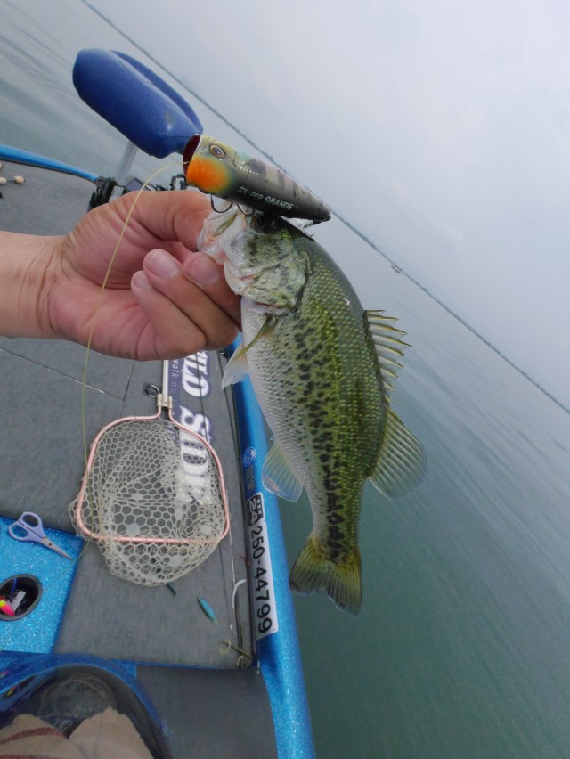 truth hiramura ブログ写真 2016/06/22