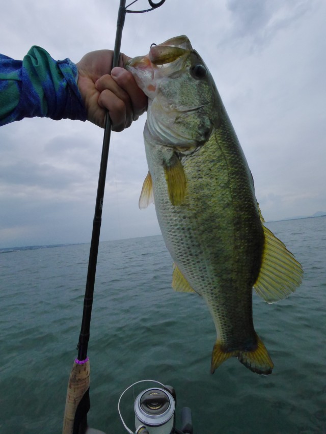 truth hiramura ブログ写真 2016/06/22