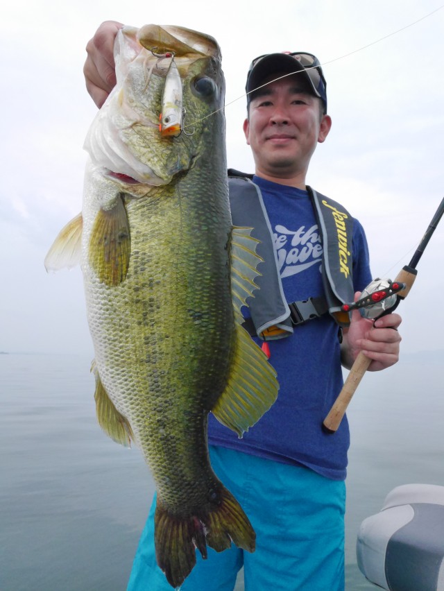 truth hiramura ブログ写真 2016/06/22