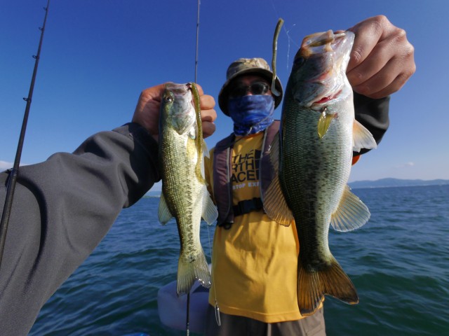 truth hiramura ブログ写真 2016/06/24