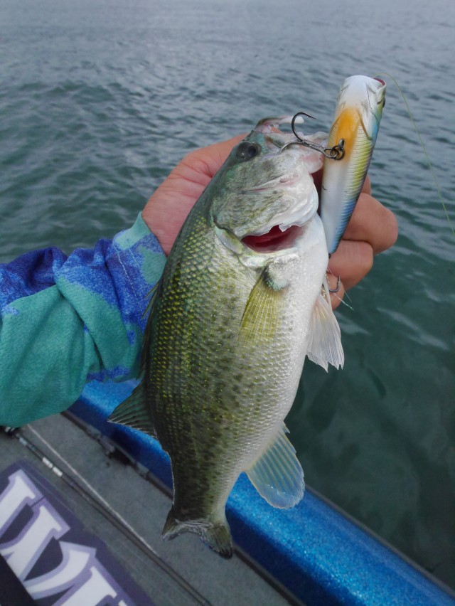 truth hiramura ブログ写真 2016/06/24