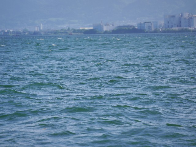 truth hiramura ブログ写真 2016/06/24