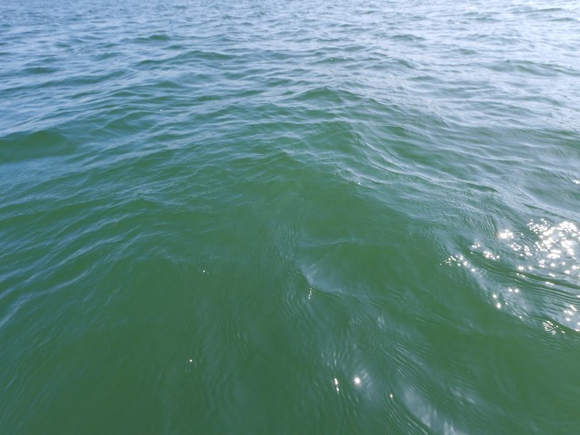 truth hiramura ブログ写真 2016/06/24