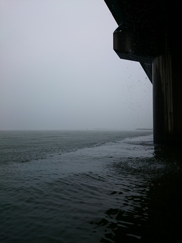 truth hiramura ブログ写真 2016/06/25