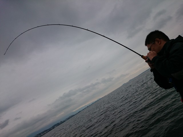 truth hiramura ブログ写真 2016/06/25