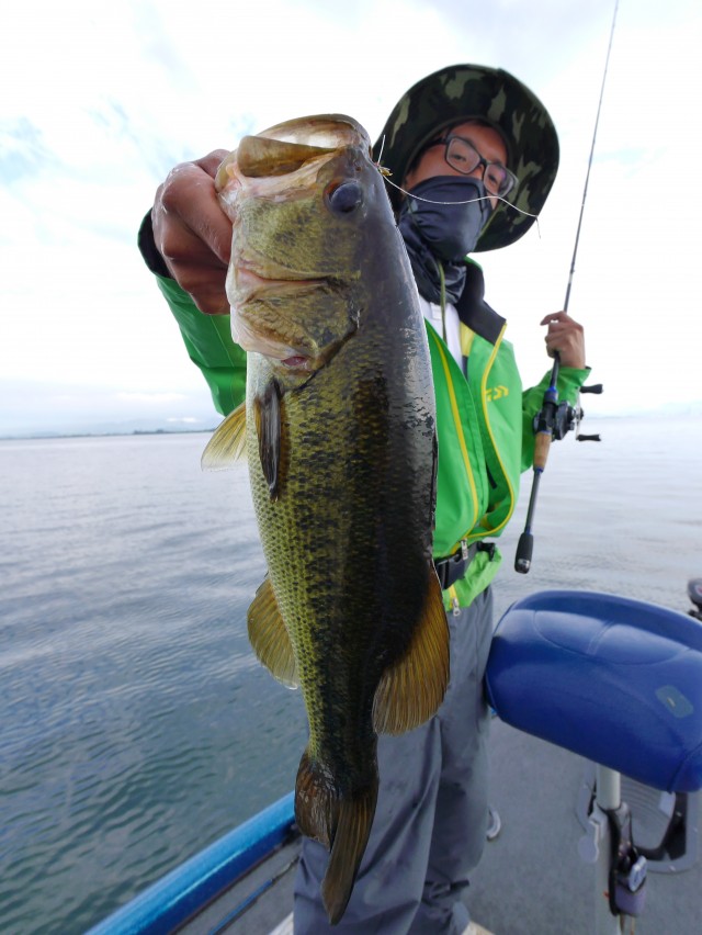 truth hiramura ブログ写真 2016/07/15