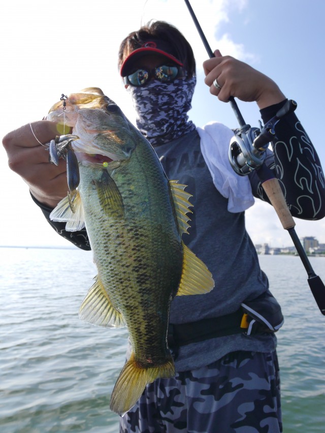 truth hiramura ブログ写真 2016/07/15