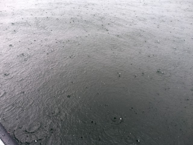 truth hiramura ブログ写真 2016/07/26