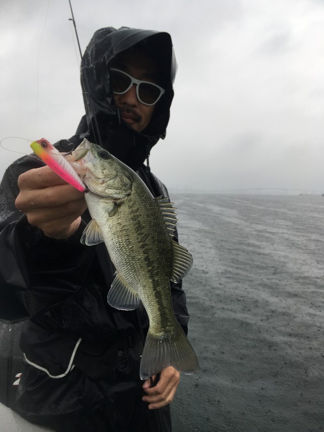 truth hiramura ブログ写真 2016/07/26