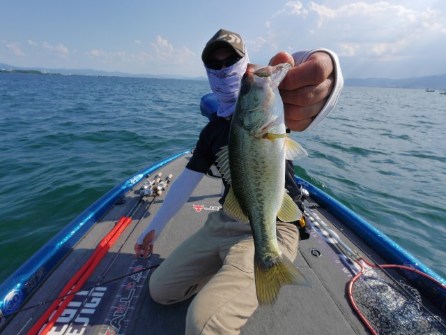 truth hiramura ブログ写真 2016/08/01