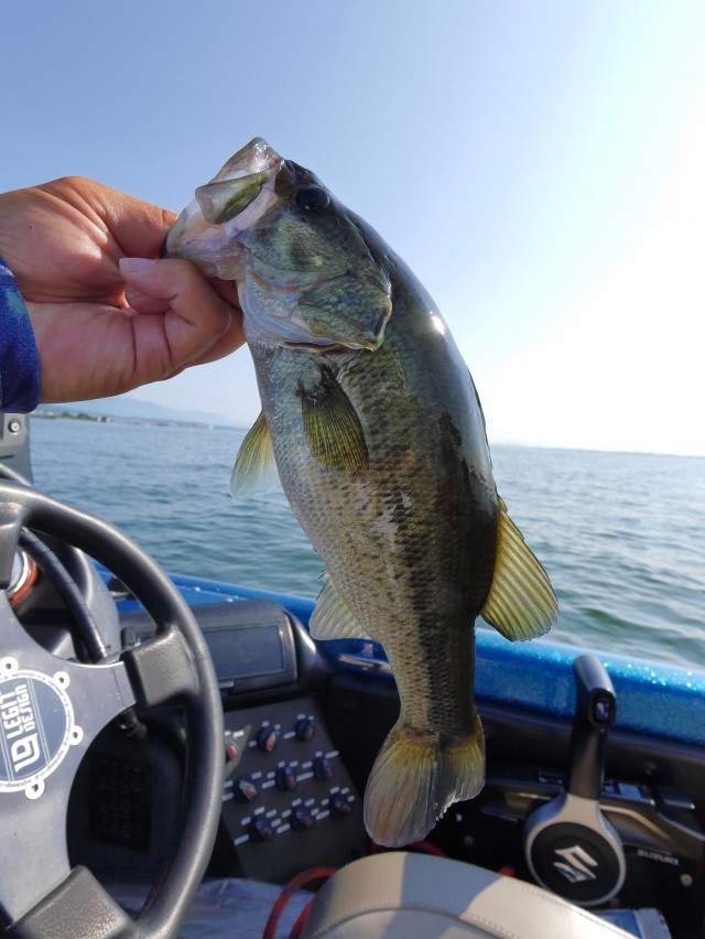 truth hiramura ブログ写真 2016/08/01