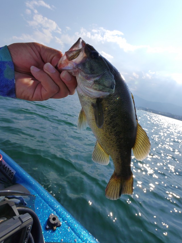 truth hiramura ブログ写真 2016/08/01