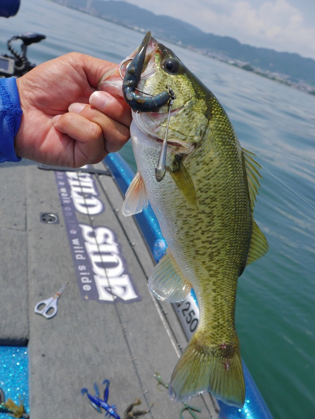 truth hiramura ブログ写真 2016/08/03