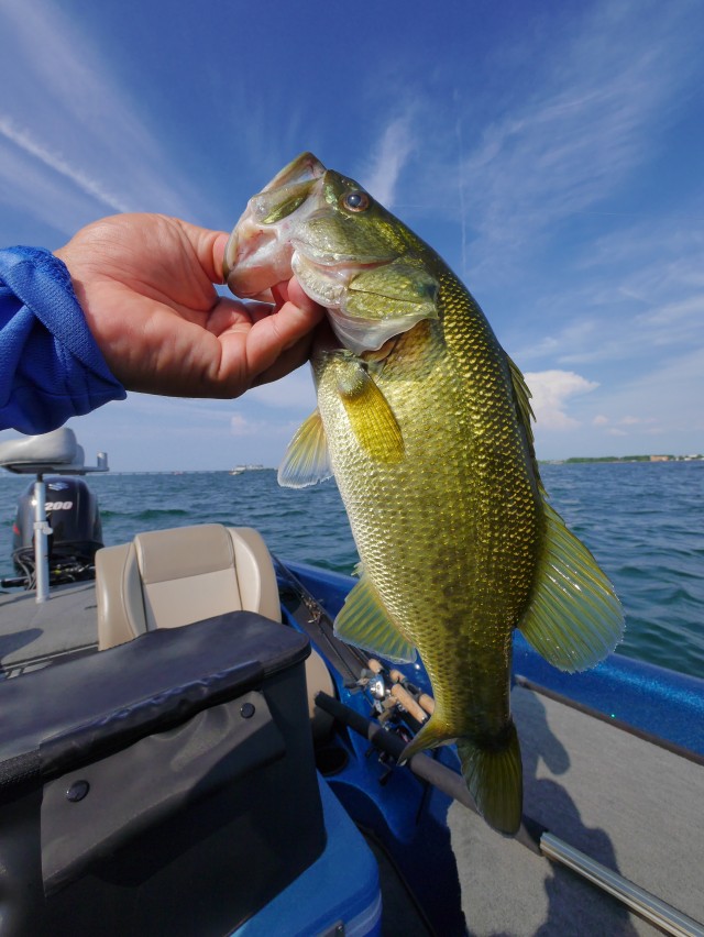 truth hiramura ブログ写真 2016/08/03